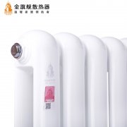 新型鋼制暖氣片復(fù)合時代精神 時尚境界暖