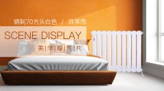 簡(jiǎn)析鋼制暖氣片在家庭中的功能特點(diǎn)