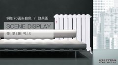 全國(guó)十大品牌暖氣片 什么是暖氣片