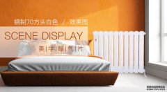 金旗艦美學(xué)暖氣片的企業(yè)背景