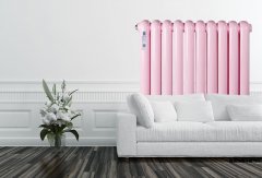 新型鋼制暖氣片盡其所能 溫暖高效最大化