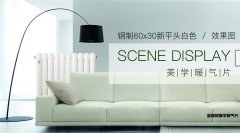 主流材質(zhì)散熱器的優(yōu)缺點(diǎn)