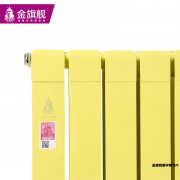 新型暖氣片造型美觀卻存在一定缺陷