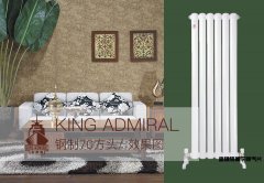 現(xiàn)代家庭不同采暖方式選擇不同產品