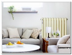 金旗艦暖氣片價格—影響金旗艦暖氣片價格的要