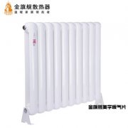 鋼制暖氣片生產(chǎn)廠家什么牌子好