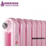 鋼制暖氣片價(jià)格/報(bào)價(jià)是多少?