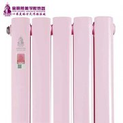 鋼制暖氣片廠家：分析暖氣的現(xiàn)狀與發(fā)展透析