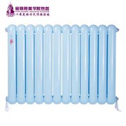 教大家購(gòu)買(mǎi)鋼制暖氣片價(jià)格的四點(diǎn)技巧