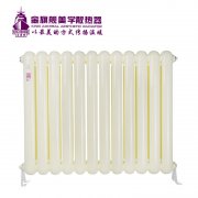 對(duì)鋼暖氣片品牌內(nèi)部生銹中的預(yù)防的介紹