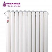 選新式防腐暖氣片時應(yīng)當(dāng)?shù)某Ｒ妴栴}