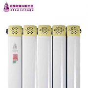 暖氣片品牌推薦：暖氣顏色和家居整體顏色，如