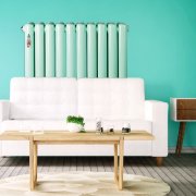 暖氣片品牌 鋼制暖氣片二選一