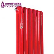 中國暖氣片十大排名：哪種暖氣片類型很適合大