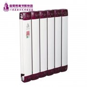 水暖氣片十大品牌常用的水循環(huán)裝置