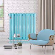 我國在建筑工地上打算買什么樣的暖氣?