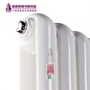 暖氣壞了 我能換一種新型的鋼制暖氣片嗎?