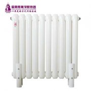 暖氣是新型的家用取暖方式！