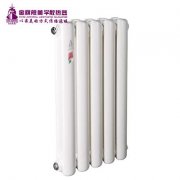 深入推出暖氣片廠家的產(chǎn)品