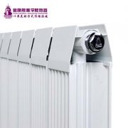 銅鋁復(fù)合暖氣片里的水可不可以應(yīng)用呢?