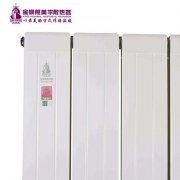 銅鋁復(fù)合暖氣的優(yōu)點(diǎn)我來分析！