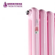 主表面安裝暖氣片十大品牌系統(tǒng)！